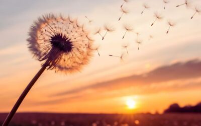 Az Uránusz visszatér a Bikába – Búcsúzz el az értéktelentől!