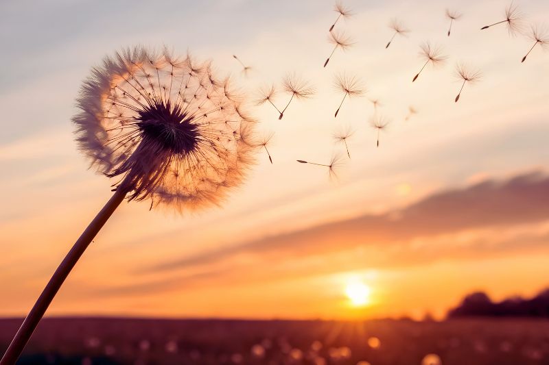 Uránusz vissza a Bikába_kép_honlapra